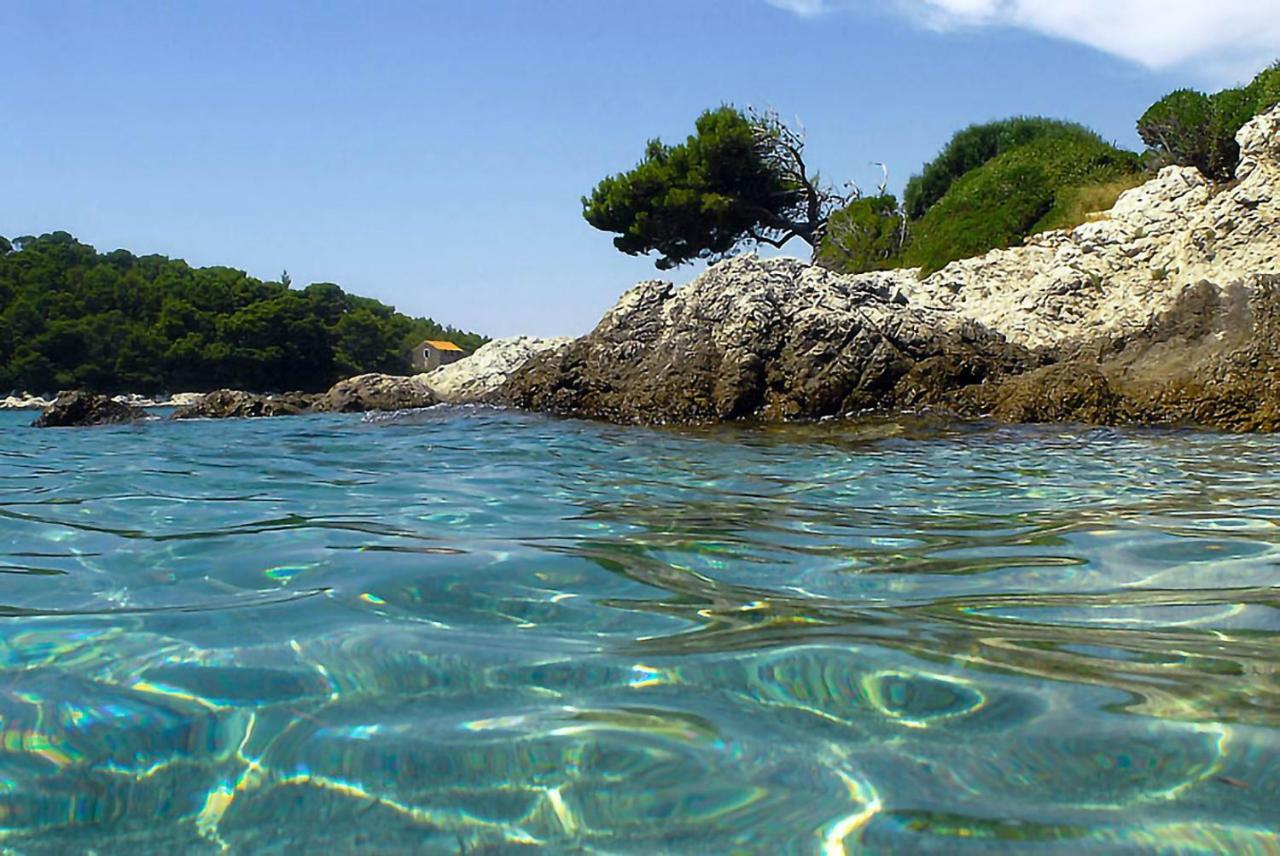 Apartment Matijas Trstenik  Εξωτερικό φωτογραφία